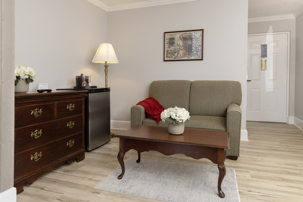 Premium Suite Photo 4