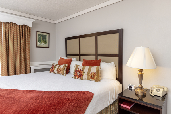 Standard King Photo 6